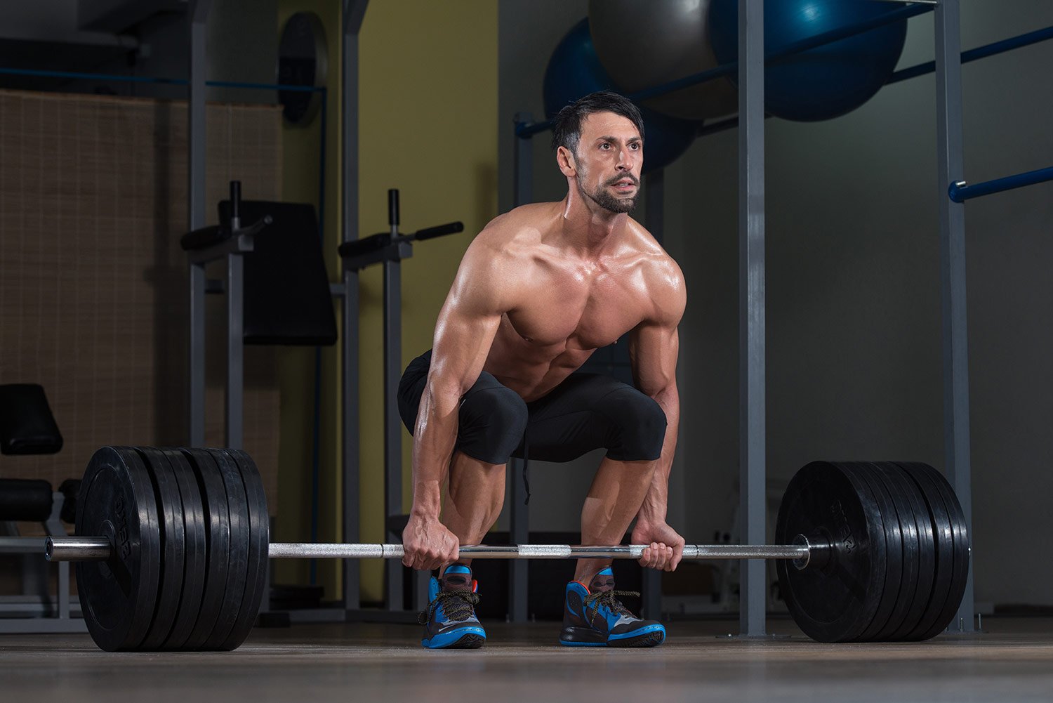 How to Build Your Muscle Fast Following The Best Specific Strategy