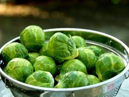 Brussels Sprout : The New Green Vegetables You’ve Been Missing Out On