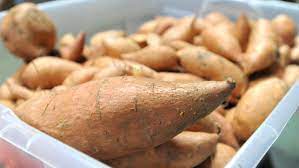 Worried About Carbs in Potatoes? 6 Low Carb Potato Substitutes